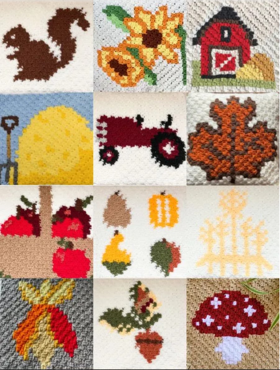 Harvest Blanket C2C Crochet pattern.jpg